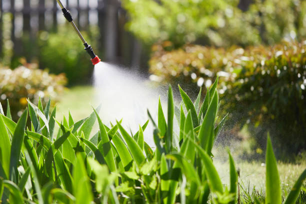 24/7 Emergency Ant Control experts in Austin, IN